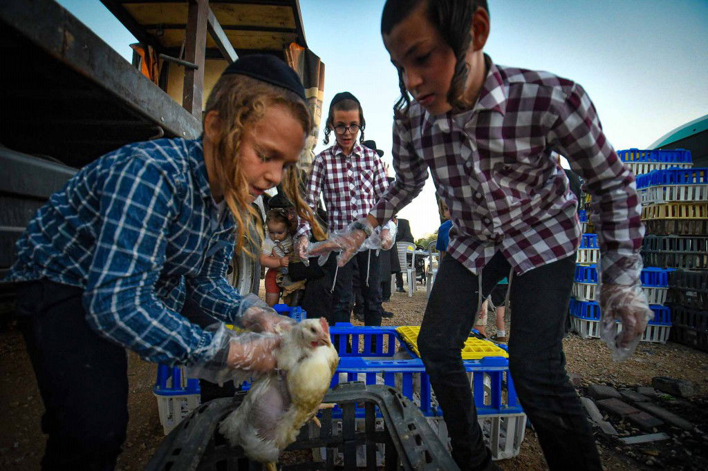 עשרת ימי תשובה בעמנואל