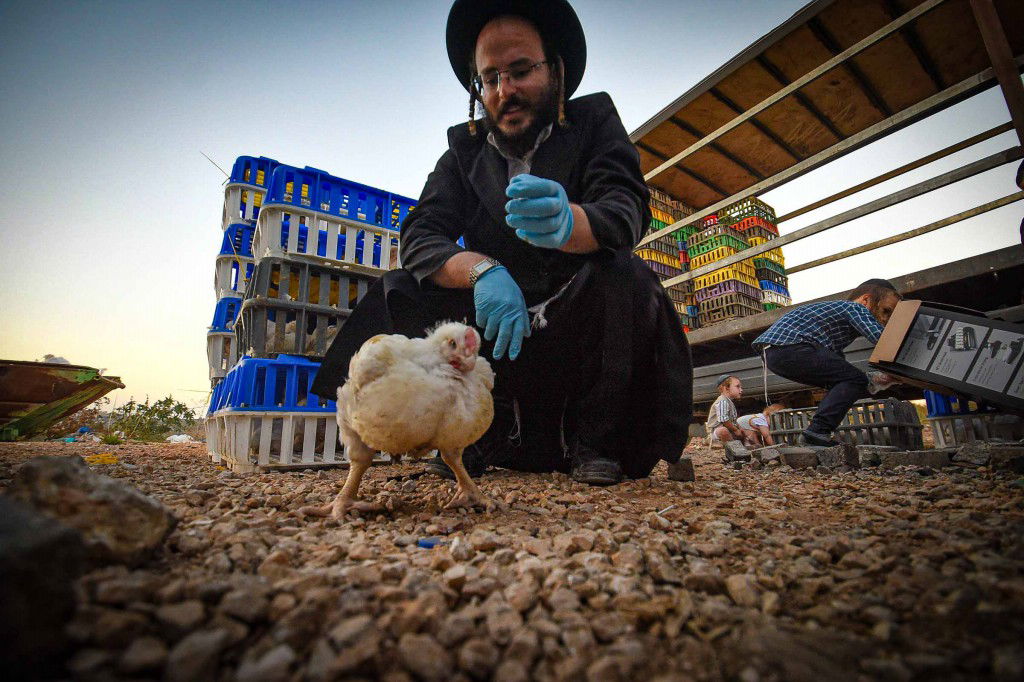 עשרת ימי תשובה בעמנואל