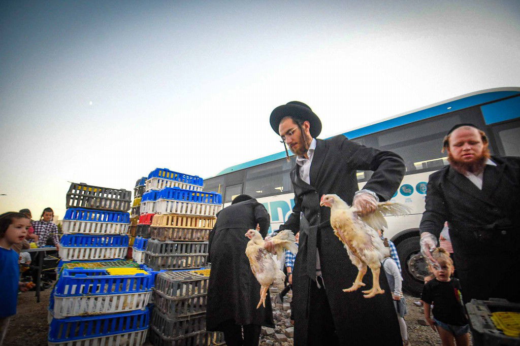 עשרת ימי תשובה בעמנואל