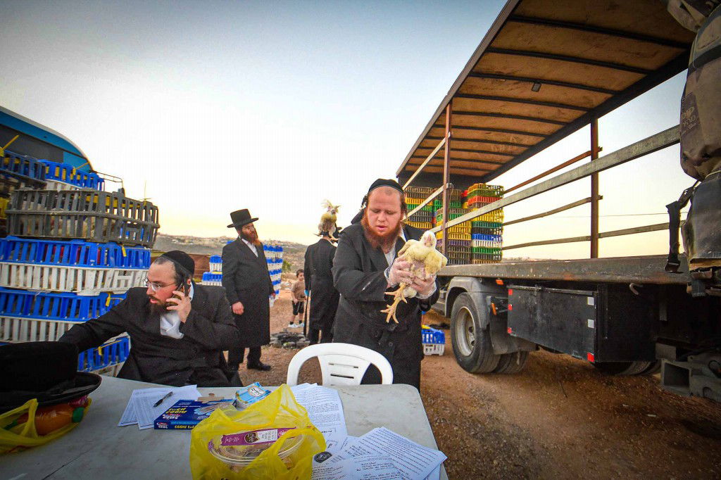 עשרת ימי תשובה בעמנואל