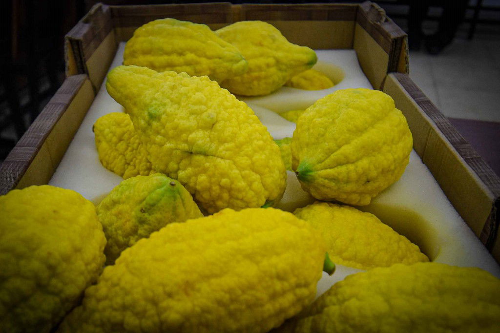 עשרת ימי תשובה בעמנואל