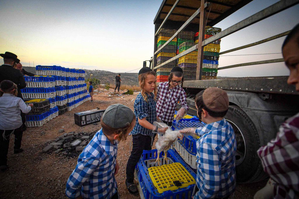עשרת ימי תשובה בעמנואל