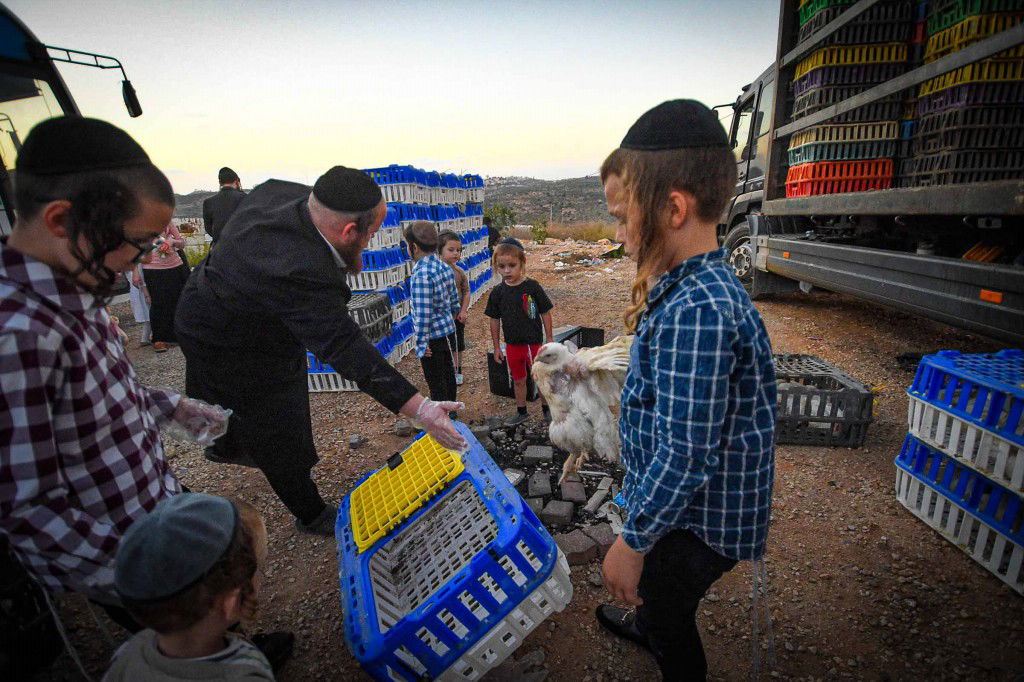 עשרת ימי תשובה בעמנואל