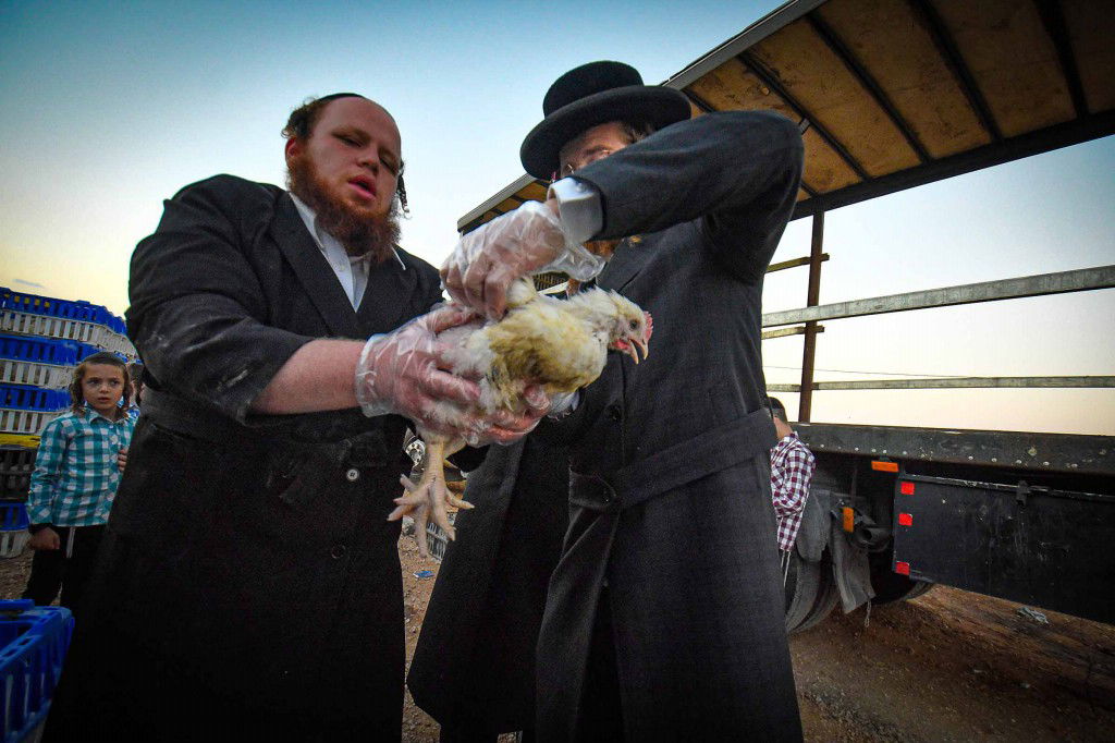 עשרת ימי תשובה בעמנואל