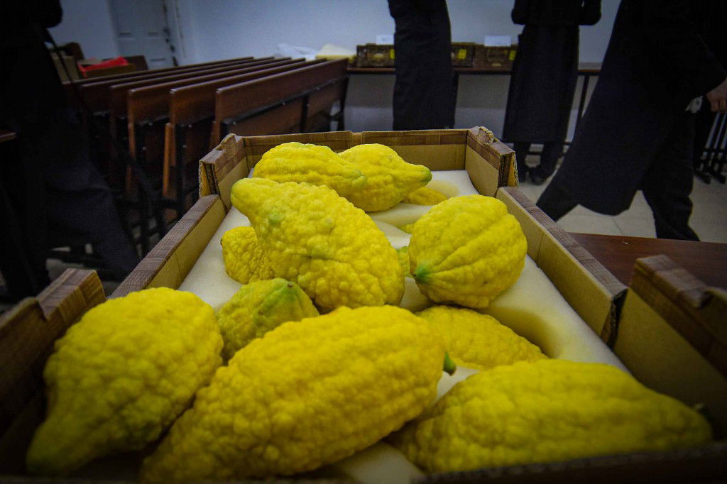 עשרת ימי תשובה בעמנואל