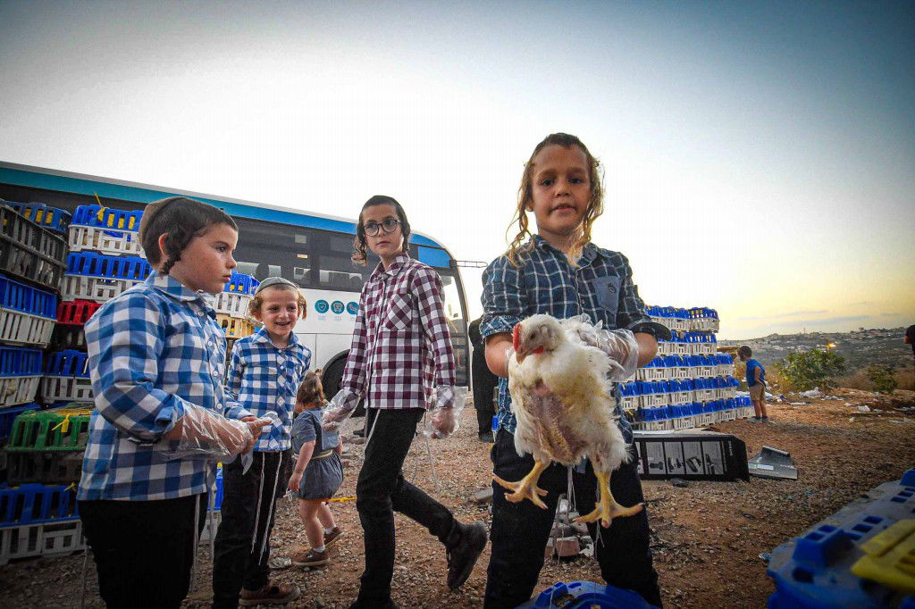 עשרת ימי תשובה בעמנואל