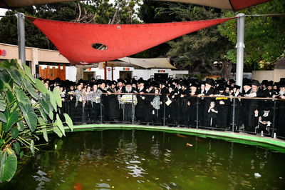 תשליך בחצה"ק נדבורנה