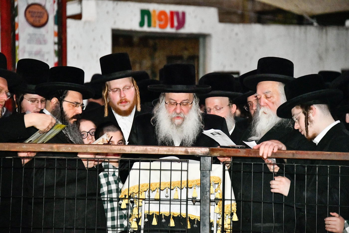 תשליך בחצה"ק נדבורנה