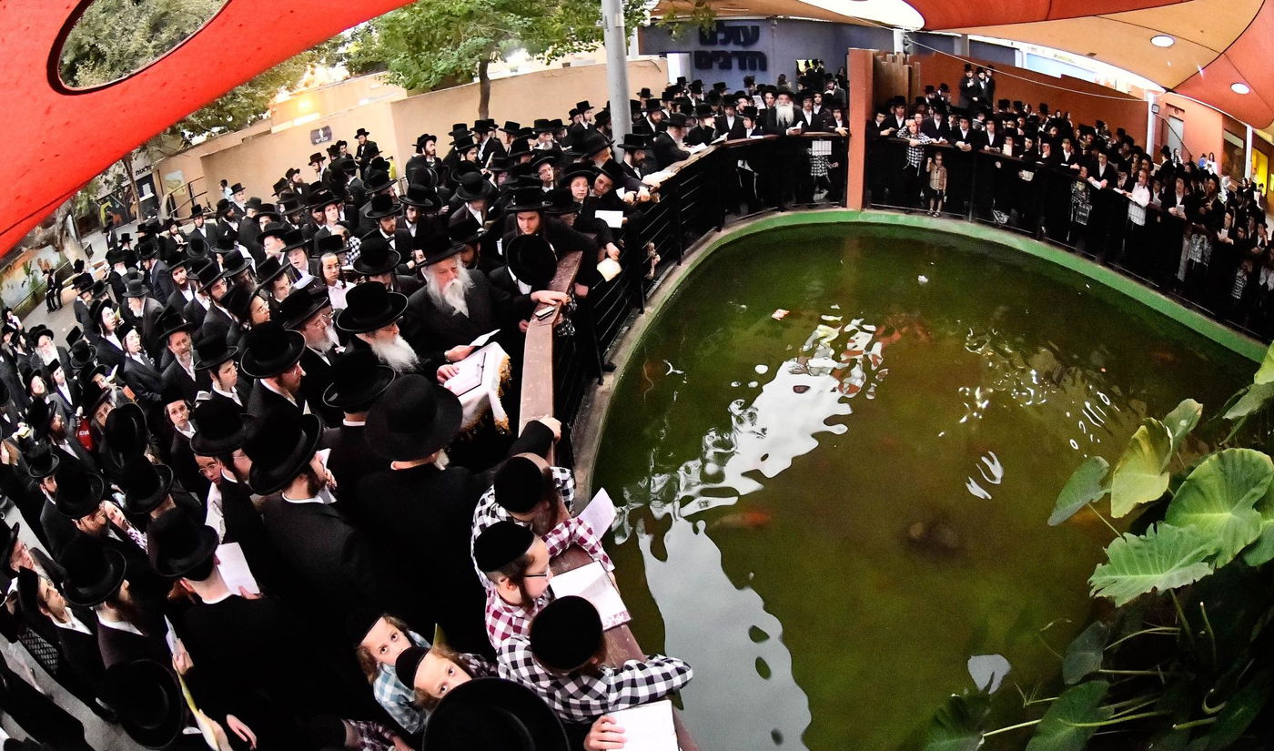 תשליך בחצה"ק נדבורנה