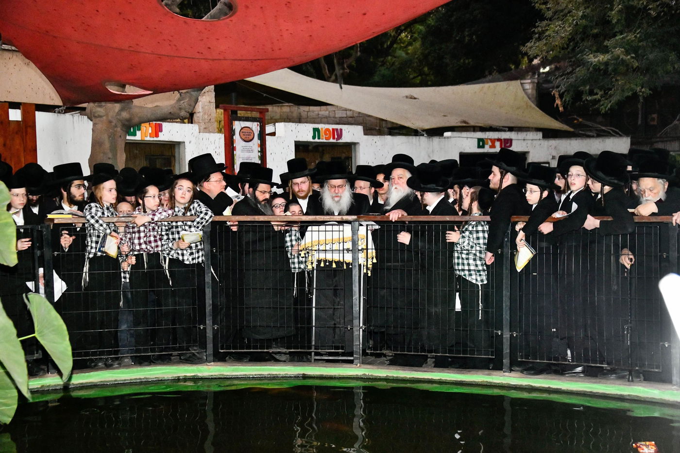 תשליך בחצה"ק נדבורנה