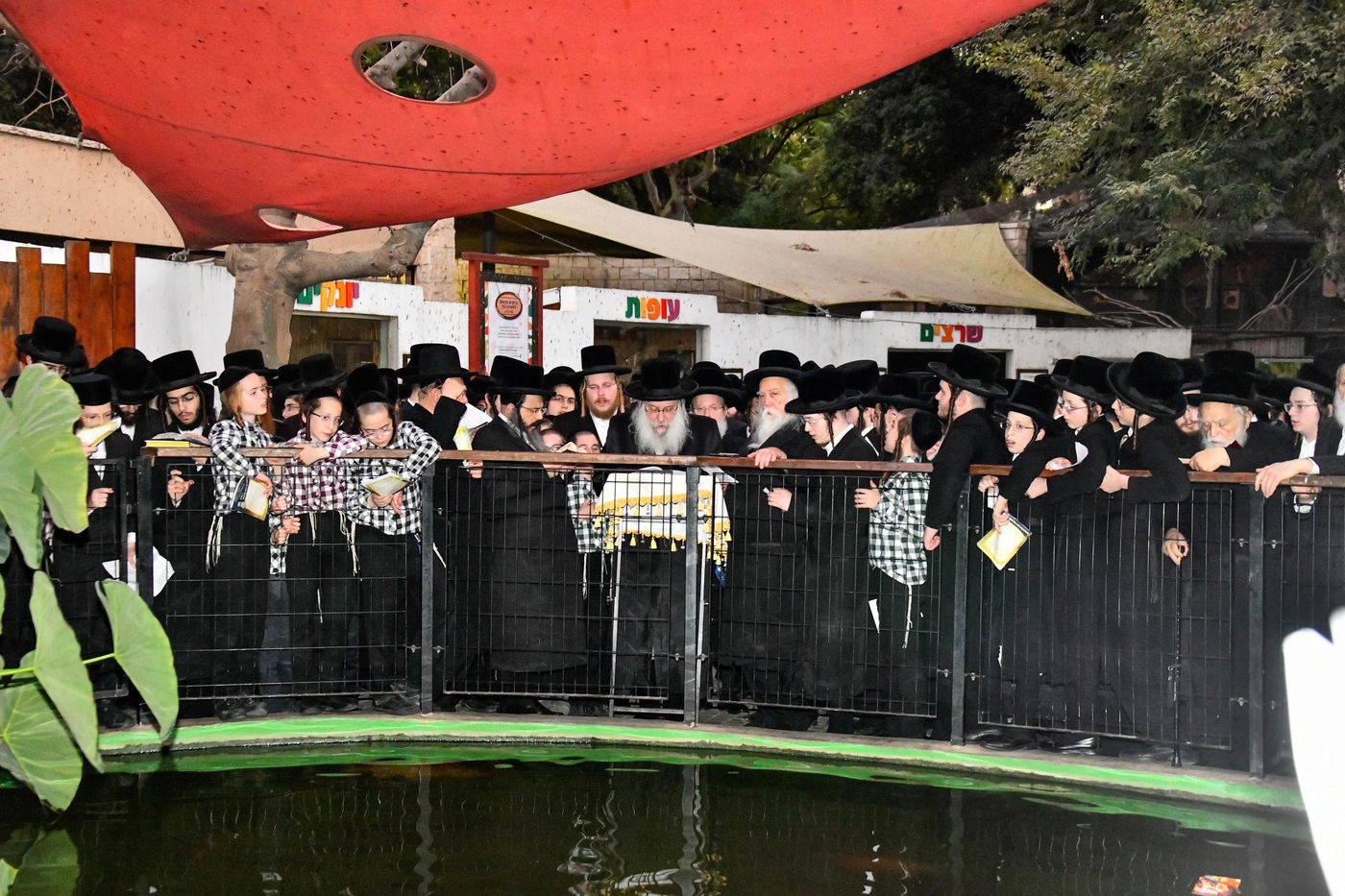 תשליך בחצה"ק נדבורנה