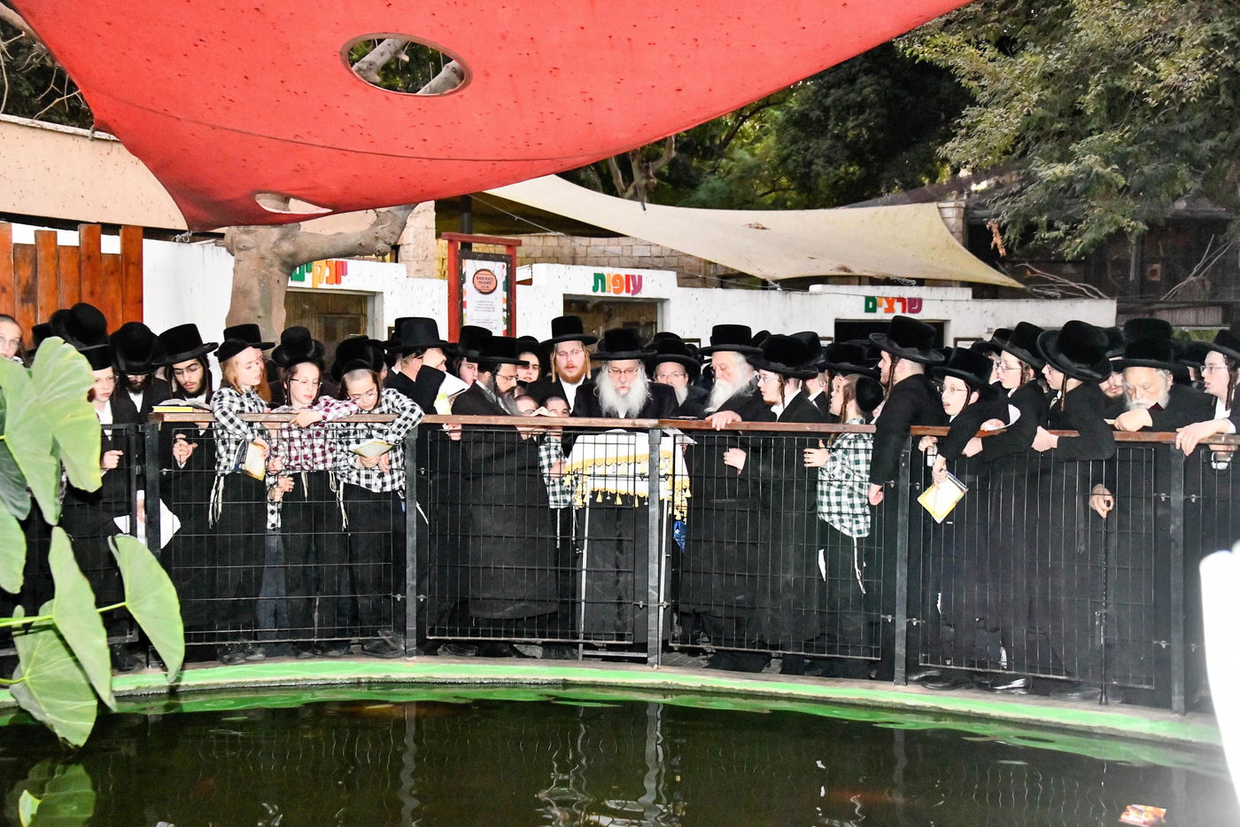 תשליך בחצה"ק נדבורנה