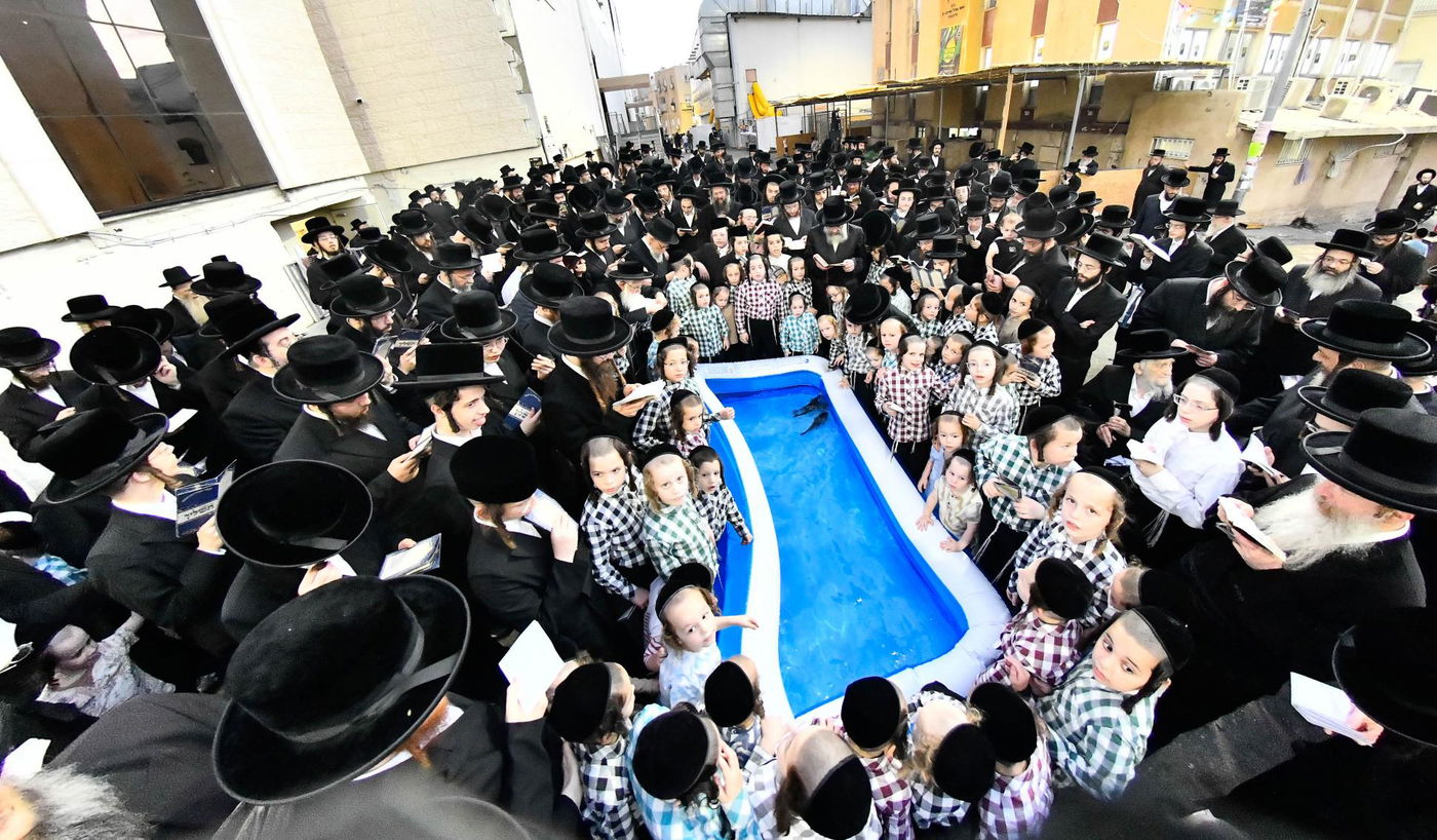 הגה"צ רבי חיים מאיר הגר, אב"ד ויז'ניץ בתשליך