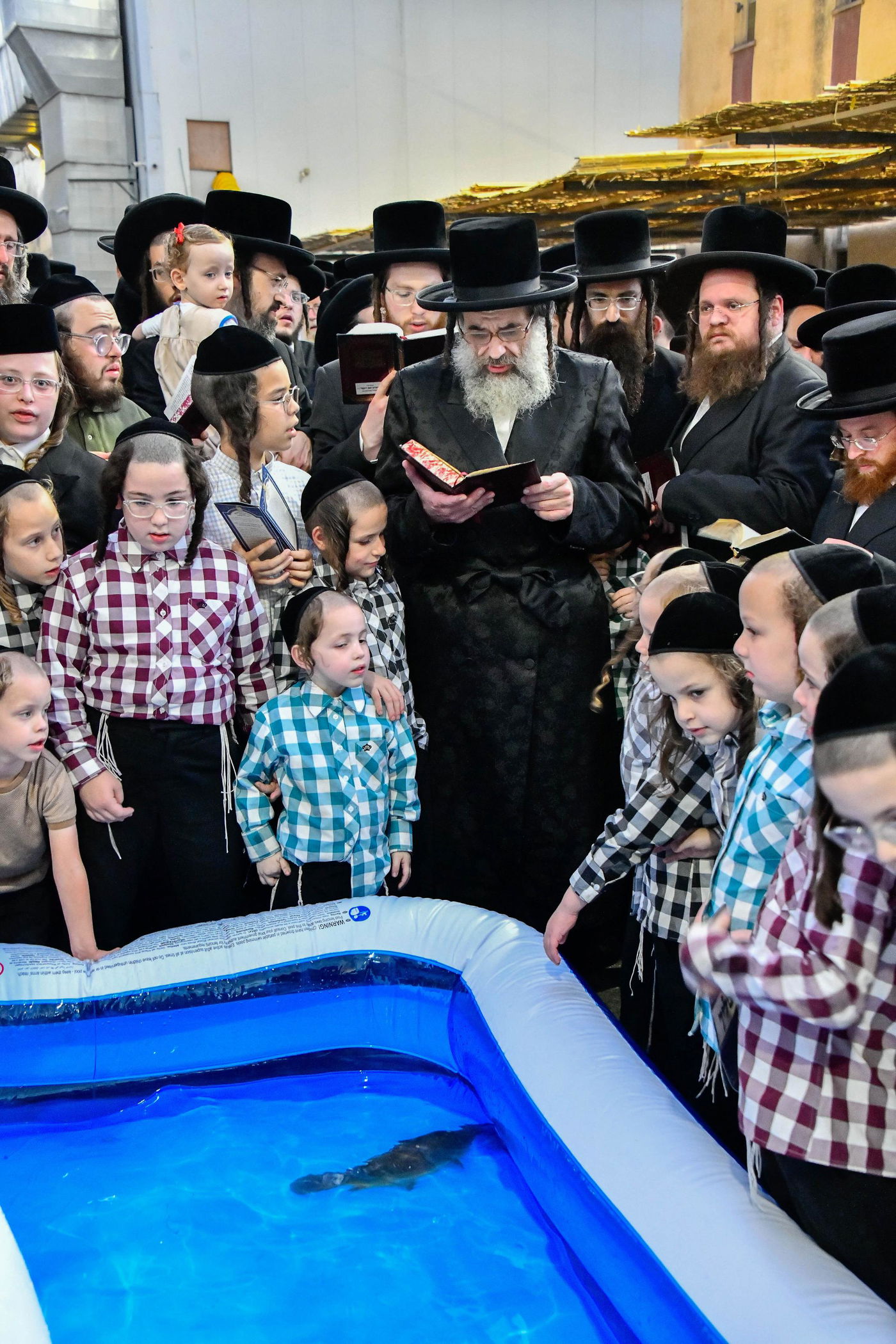 הגה"צ רבי חיים מאיר הגר, אב"ד ויז'ניץ בתשליך