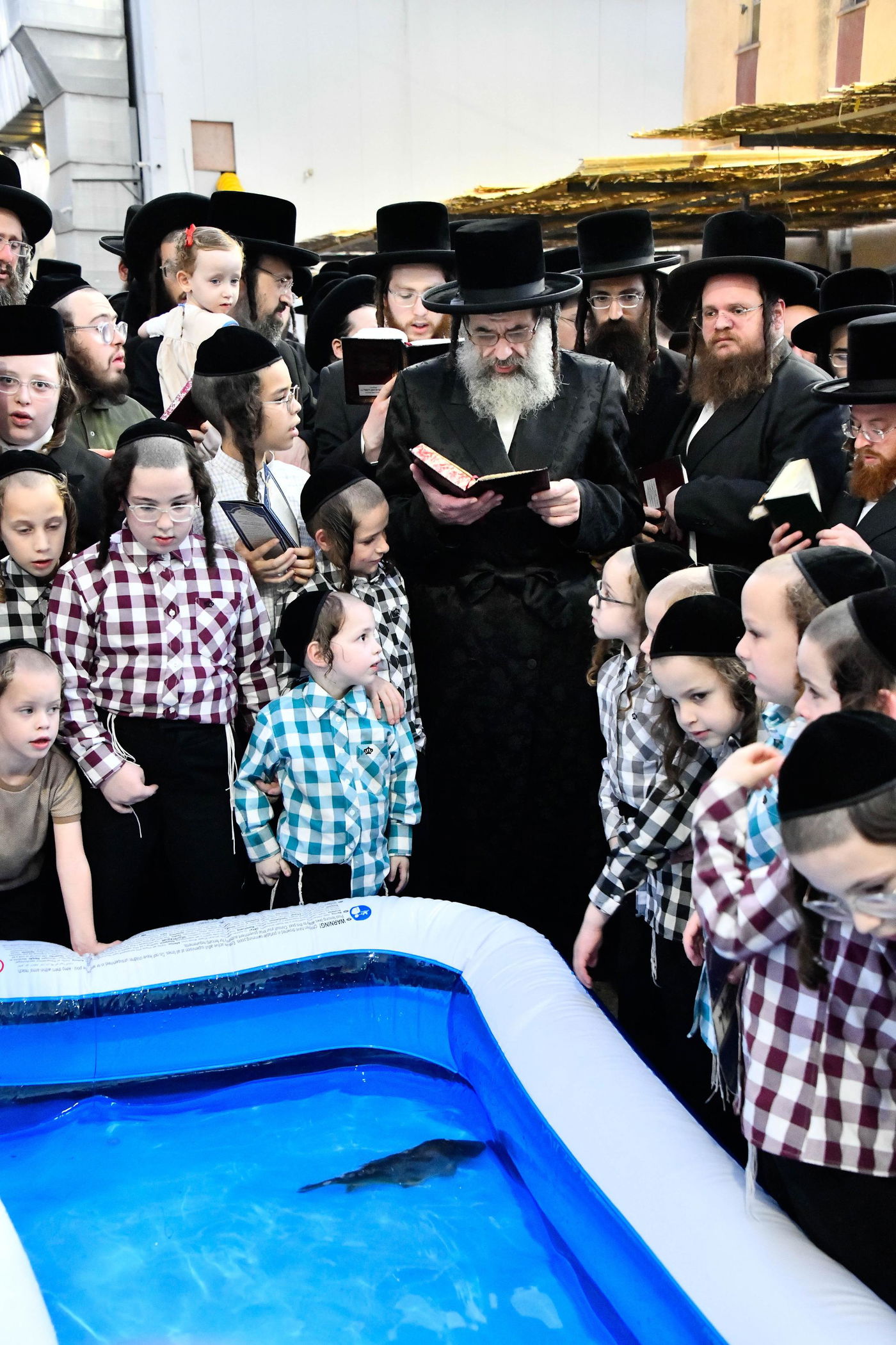 הגה"צ רבי חיים מאיר הגר, אב"ד ויז'ניץ בתשליך