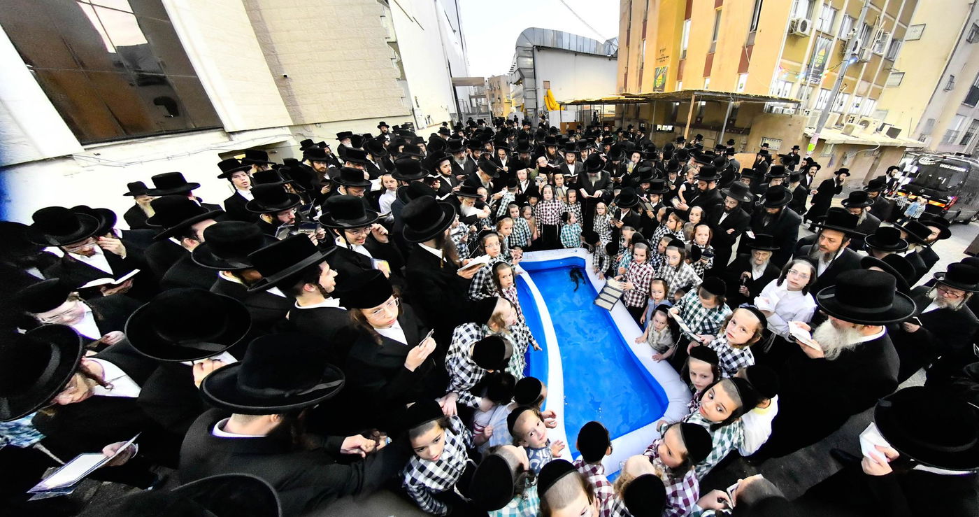 הגה"צ רבי חיים מאיר הגר, אב"ד ויז'ניץ בתשליך