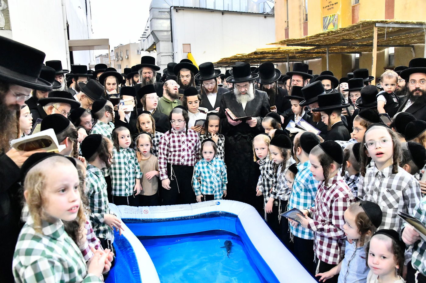 הגה"צ רבי חיים מאיר הגר, אב"ד ויז'ניץ בתשליך