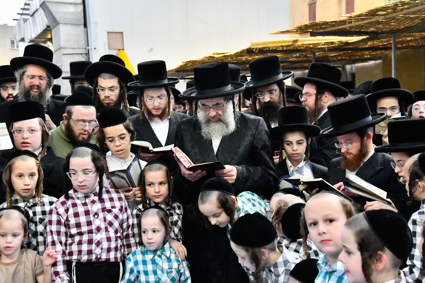 הגה"צ רבי חיים מאיר הגר, אב"ד ויז'ניץ בתשליך