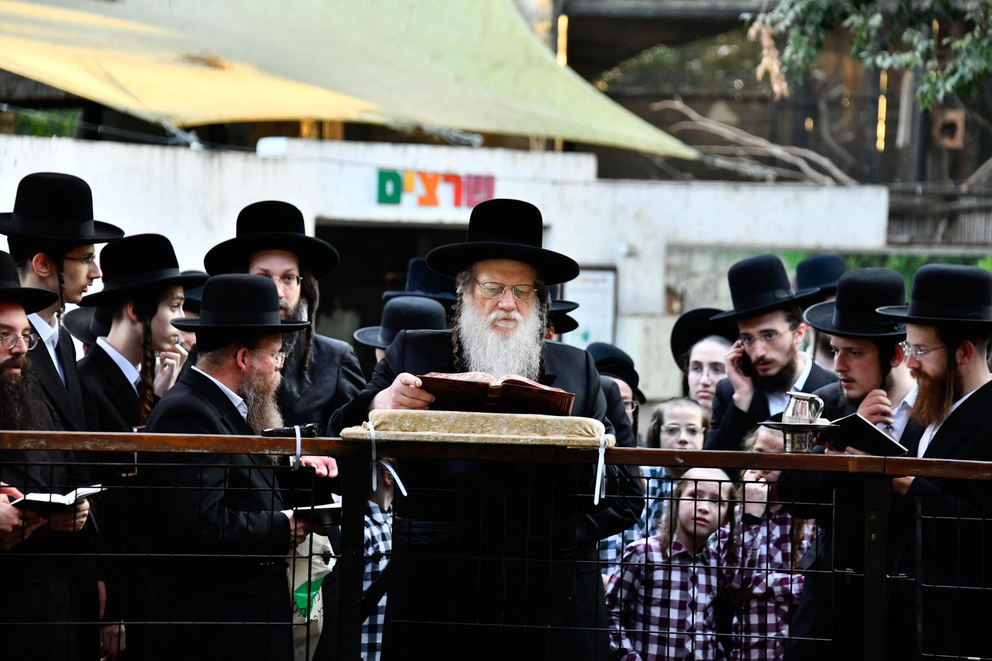 האדמו"ר ממודז'יץ במעמד תשליך