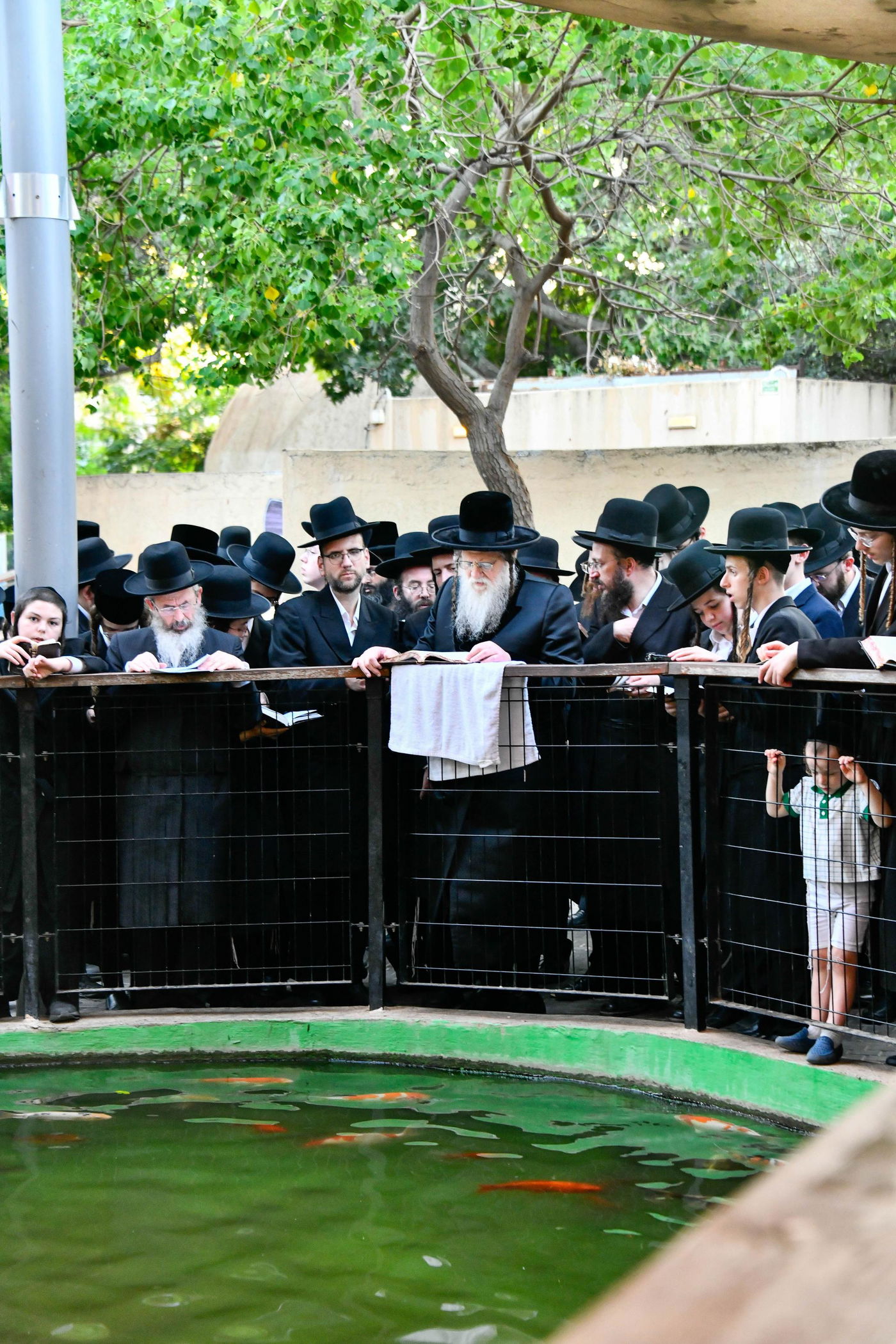 האדמו"ר ממודז'יץ במעמד תשליך