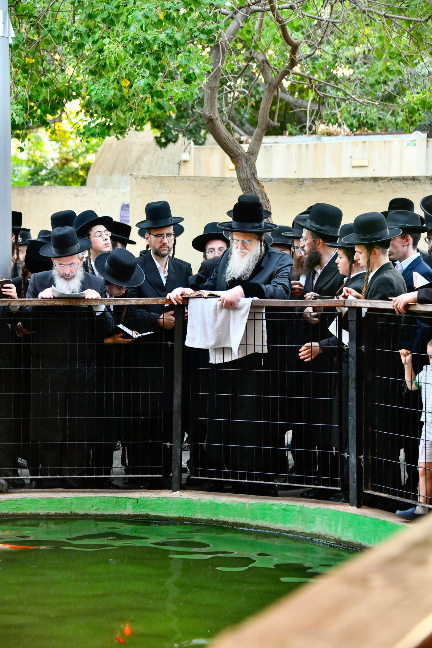 האדמו"ר ממודז'יץ במעמד תשליך