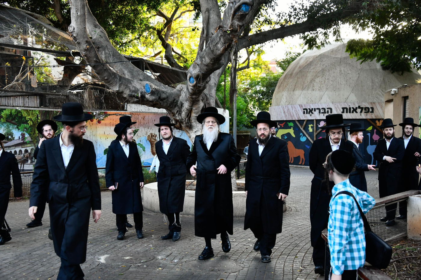 האדמו"ר ממודז'יץ במעמד תשליך