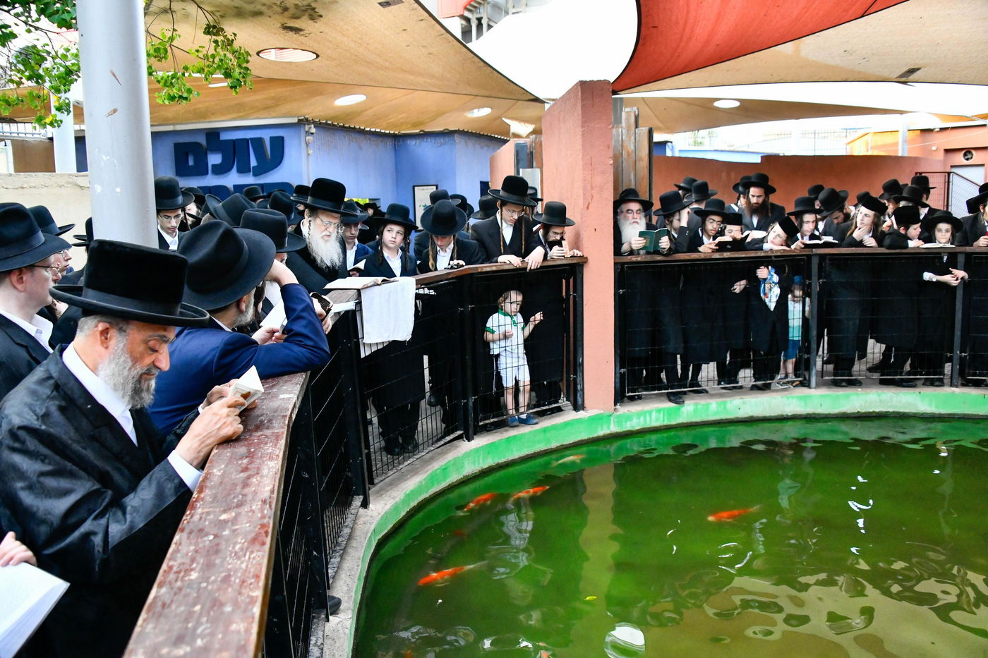 האדמו"ר ממודז'יץ במעמד תשליך