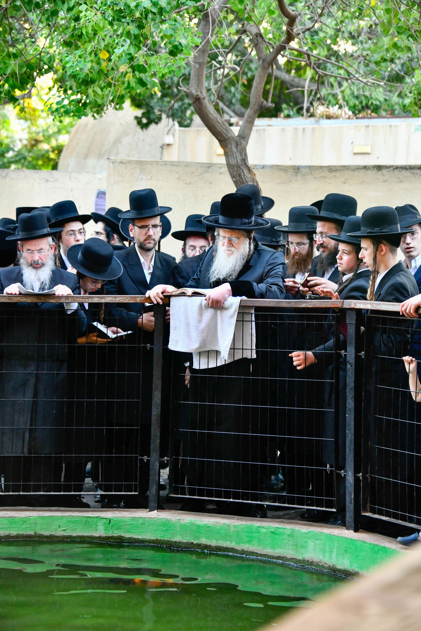 האדמו"ר ממודז'יץ במעמד תשליך