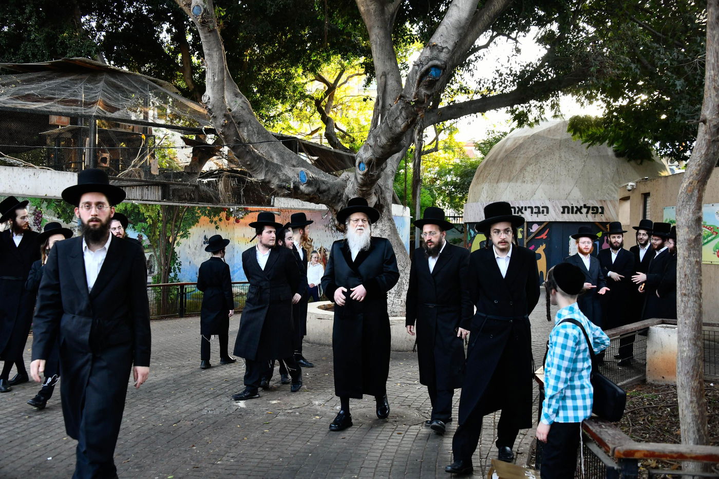 האדמו"ר ממודז'יץ במעמד תשליך