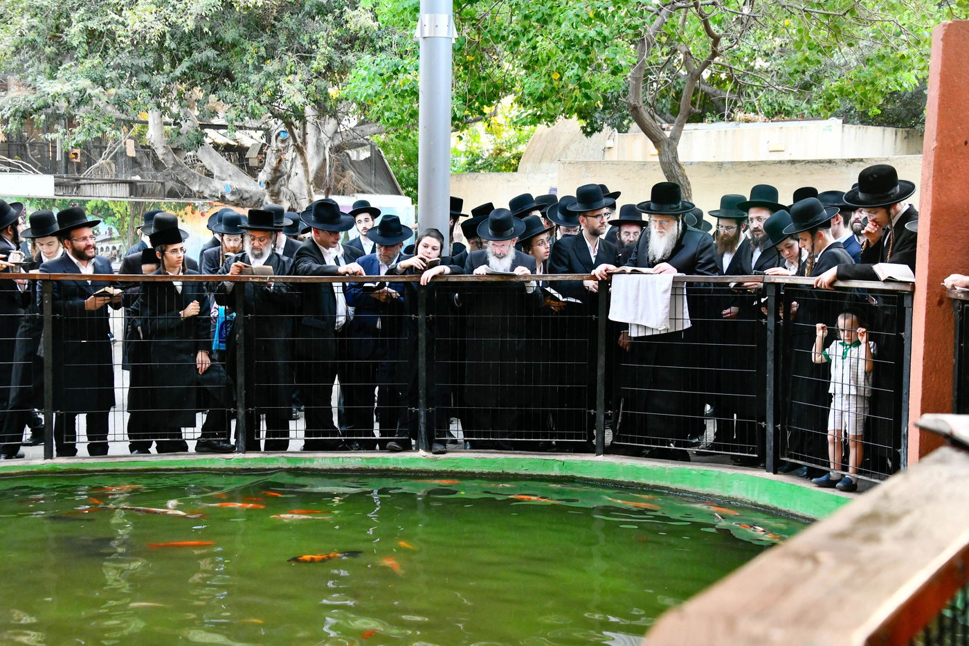 האדמו"ר ממודז'יץ במעמד תשליך