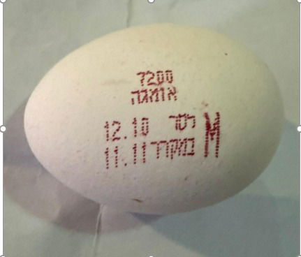 הביצים הבעייתיות