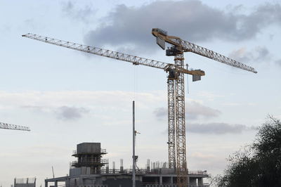 עגורן. אילוסטרציה