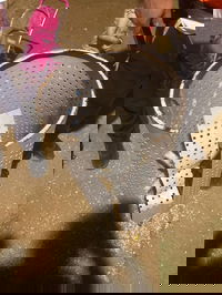 הפח בה נתקע הילד