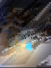 הרקטות שנתפסו