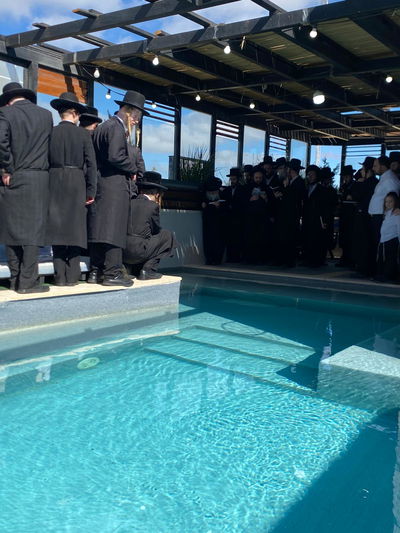 האדמו"ר מאמשינוב בתשליך