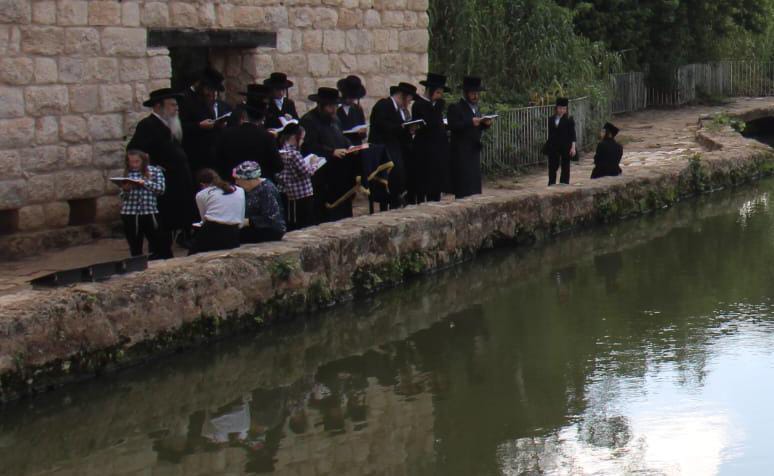  האדמו"ר מצאנז ז'ימגראד בתשליך