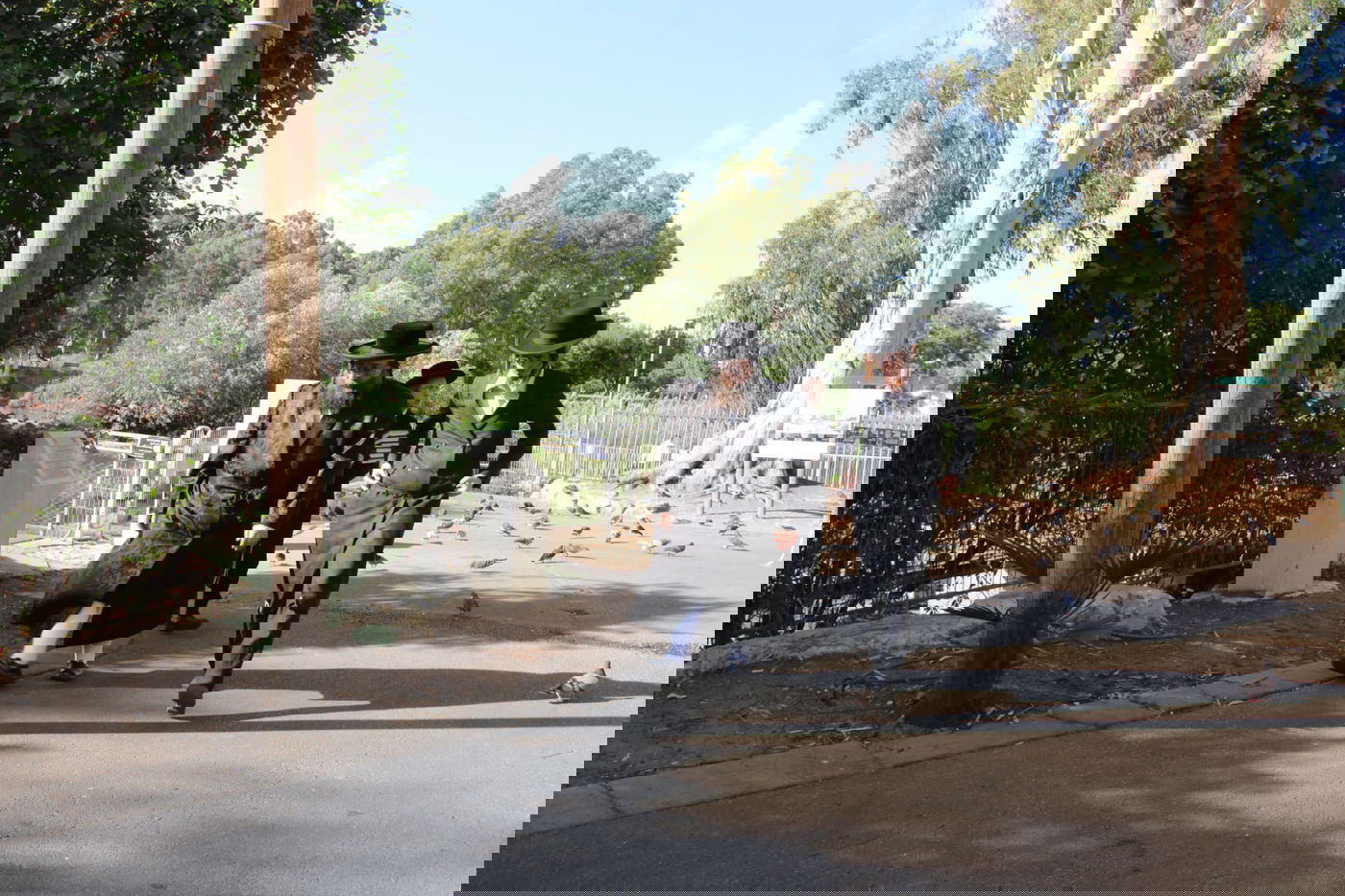  האדמו"ר מצאנז ז'ימגראד בתשליך