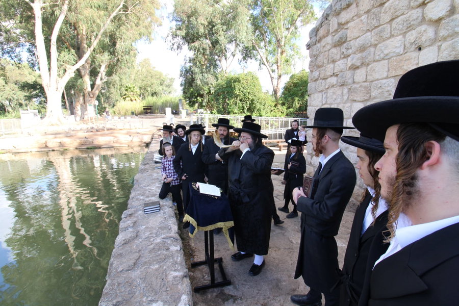 האדמו"ר מצאנז ז'ימגראד בתשליך