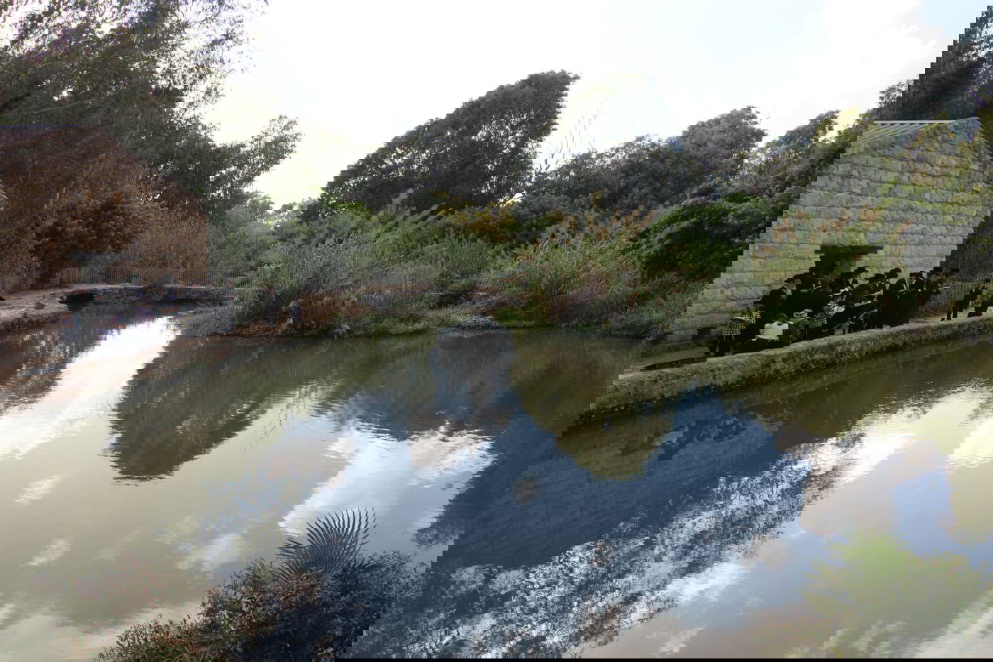  האדמו"ר מצאנז ז'ימגראד בתשליך