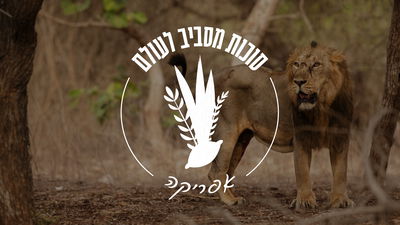 שליח חב"ד באפריקה בריאיון חג מרתק: "מה זה לבנות סוכה? יש קשיים יותר גדולים"