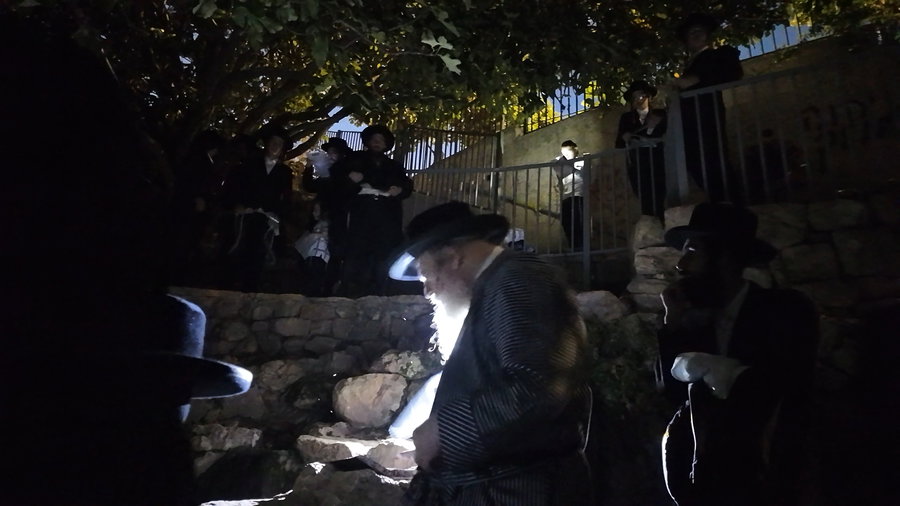 הרבי ממבקשי אמונה באמירת תשליך במעיין במברשת ציון