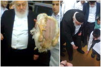 ראש הישיבה הגאון רבי אברהם יצחק קוק בשחיטה וכיסוי הדם של הכפרות | צפו