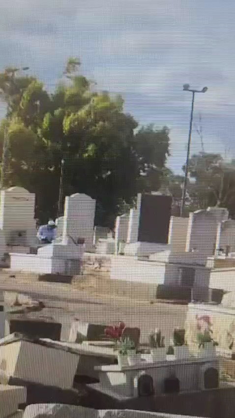 משחית את הקברים
