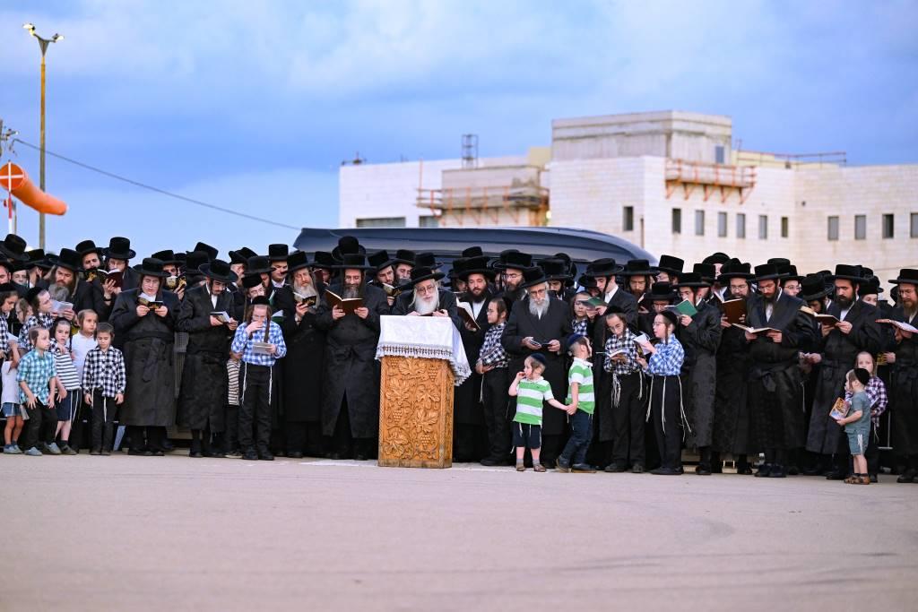 האדמו"ר מצאנז בתשליך