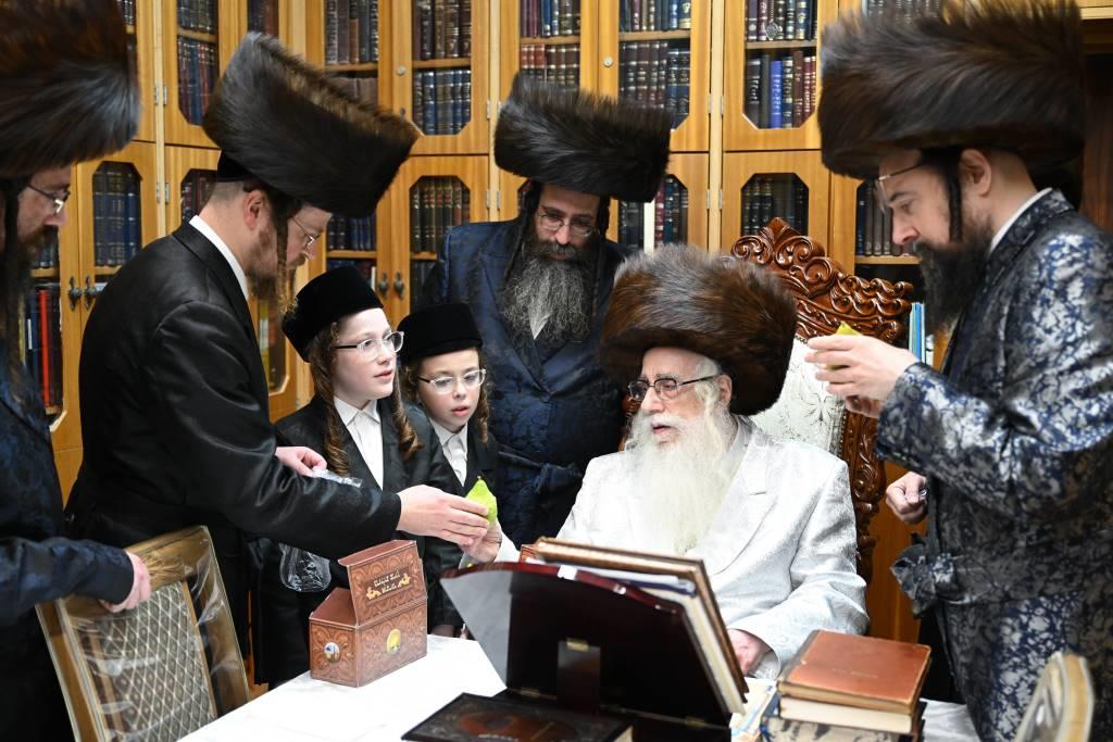 האדמו"ר מצאנז בבדיקת אתרוגים