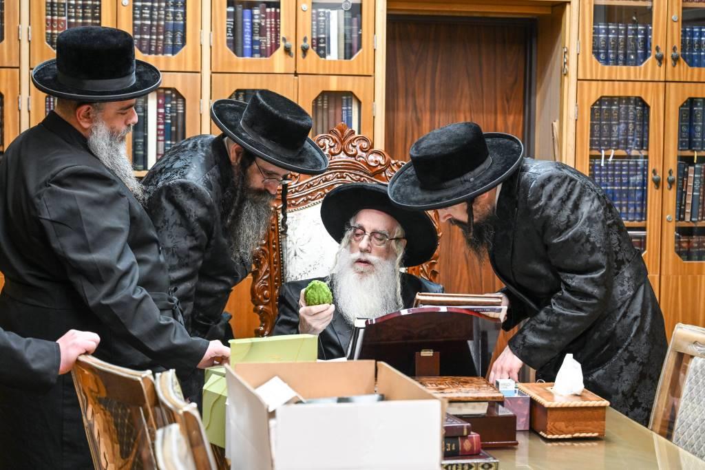 האדמו"ר מצאנז בבדיקת אתרוגים
