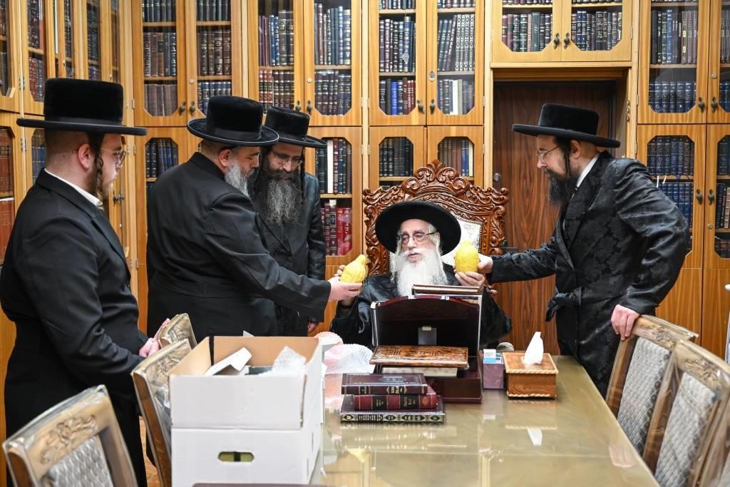 האדמו"ר מצאנז בבדיקת אתרוגים