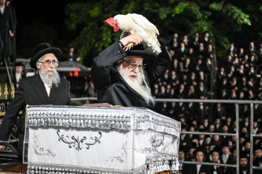 האדמו"ר מצאנז במנהג כפרות