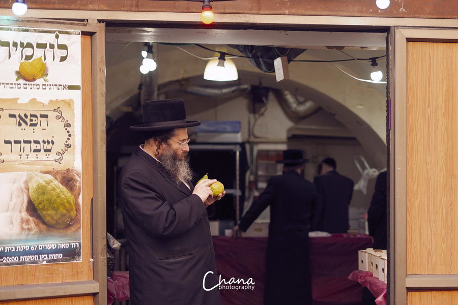 הירושלמים בשוק ארבעת המינים