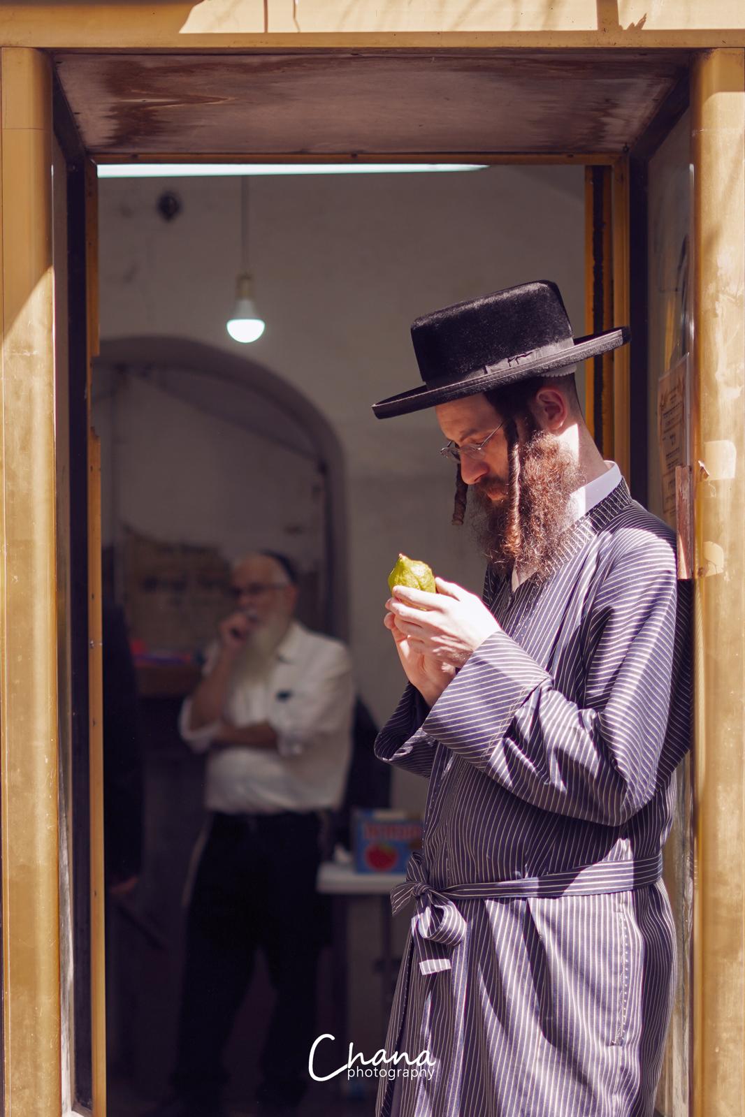 הירושלמים בשוק ארבעת המינים